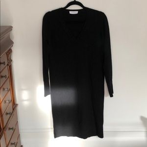 Everlane cashmere sweater dress
